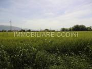 Rustico / Casale in vendita a Todi PG