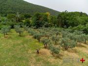 Rustico / Casale in vendita a Toffia RI