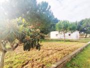 Rustico / Casale in vendita a Torricella TA