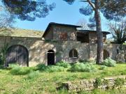 Rustico / Casale in vendita a Tuscania VT