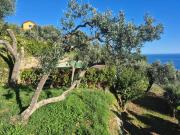 Rustico / Casale in vendita a Varazze SV