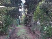 Rustico / Casale in vendita a Velletri RM