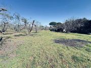 Rustico / Casale in vendita a Velletri RM