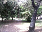 Rustico / Casale in vendita a Viareggio LU