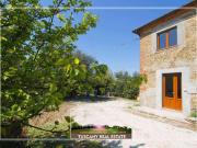 Rustico / Casale in vendita a Vinci FI