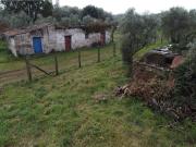 Rustico / Casale in vendita a Viterbo VT