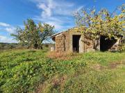 Rustico / Casale in vendita a Vitorchiano VT