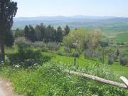 Rustico / Casale in vendita a Volterra PI