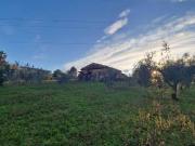 Rustico / Casale in vendita a Zagarolo RM