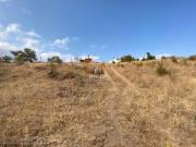 Rústico com 33 Hectares junto ao Alqueva – Póvoa de São...