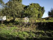 Rústico com capacidade construtiva em Oliveirinha,...