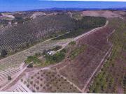 Rustico con giardino a Baschi