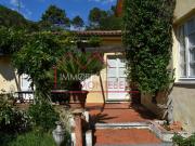 Rustico con giardino a Camaiore