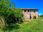 Rustico con giardino a Capannoli