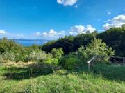 Rustico con giardino a Gradoli