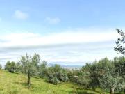 Rustico con giardino a Piombino