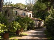 Rustico con giardino a Pisa Rustico con giardino a Pisa