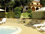 Rustico con giardino a Scansano