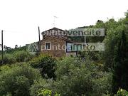 Rustico con giardino, Capannori pieve di compito