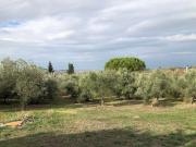 Rustico con giardino, Empoli monterappoli