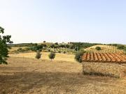 Rustico con giardino in strada delle campore, Grosseto