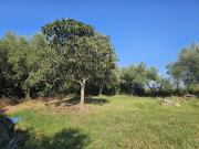 Rustico con giardino in via montegufoni, Montespertoli