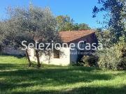 Rustico con giardino, Santa Maria a Monte falorni