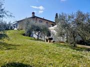 Rustico con terrazzo in guazzino, Sinalunga