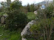 RUSTICO CON TERRENO DI MQ 5200 CIRCA