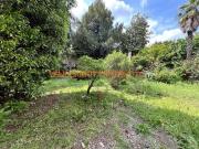 RUSTICO DA RISTRUTTURARE