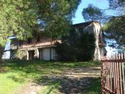 Rustico da ristrutturare a Bibbona