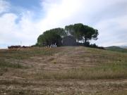 Rustico da ristrutturare a Bibbona