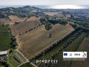 Casolare in vendita a Monteprandone
