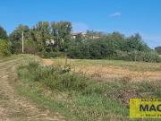 Rustico da ristrutturare a Terricciola