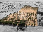 Rústico de 2,725 ha c/ Pequena Nascente para Exploração...
