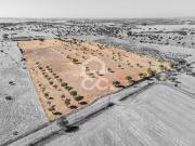 Rústico de 7,35 ha c para Exploração Agrícola | Mourão,...