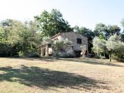Rustico in stile Toscano con dependances immerso nel...