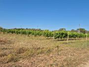 Rustico in vendita a Alghero