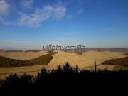 Rustico in vendita a Asciano
