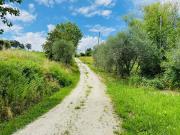 Rustico in vendita a Belvedere Ostrense