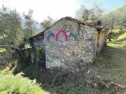 Rustico in vendita a Borgo a Mozzano