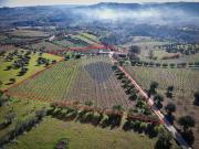 Rustico in vendita a Bucchianico