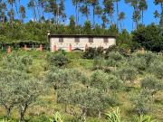 Rustico in vendita a Buti in Ottimo composto da 7vani