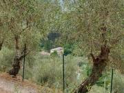Rustico in vendita a Calci