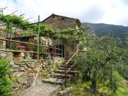 Rustico in vendita a Calci in Da ristrutturare composto... Rustico in vendita a Calci in Da ristrutturare composto...