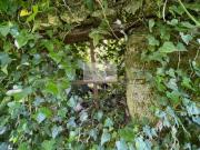 Rustico in vendita a Camaiore