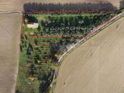 Rustico in vendita a Camerata Picena