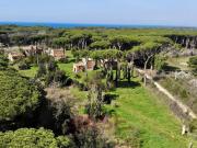 Rustico in vendita a Castagneto Carducci