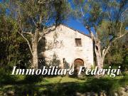 Rustico in vendita a Castelnuovo Magra via Provinciale