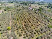 Rustico in vendita a Castiglione Di Sicilia